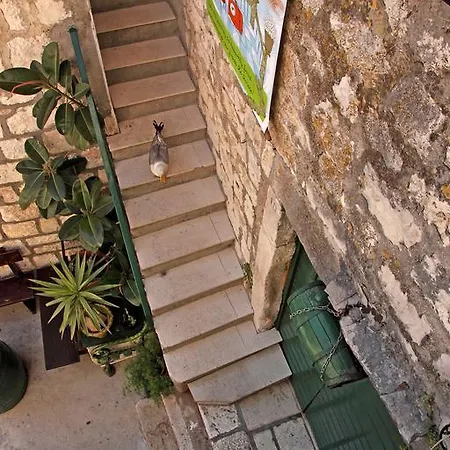 Mima Hvar